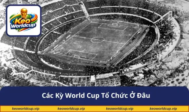 các kỳ World Cup tổ chức ở đâu