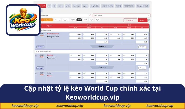 Cập nhật tỷ lệ kèo World Cup chính xác tại keoworldcup.vip