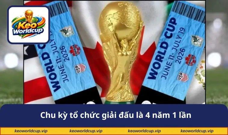Chu kỳ tổ chức giải đấu là 4 năm 1 lần