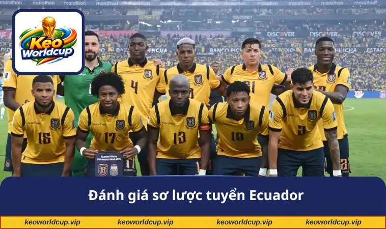 Đánh giá sơ lược tuyển Ecuador