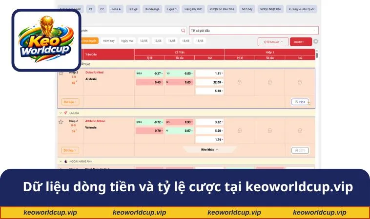 Dữ liệu dòng tiền và tỷ lệ cược tại keoworldcup.vip