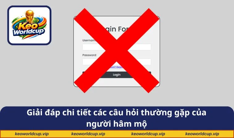 Giải đáp chi tiết các câu hỏi thường gặp của người hâm mộ