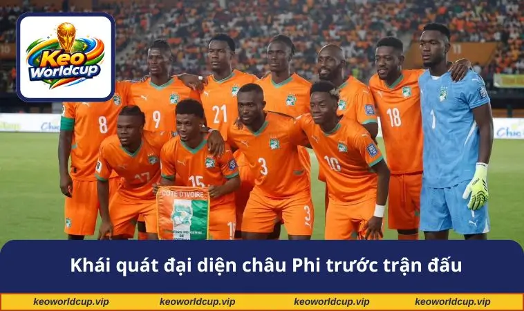 Khái quát đại diện châu Phi trước trận đấu