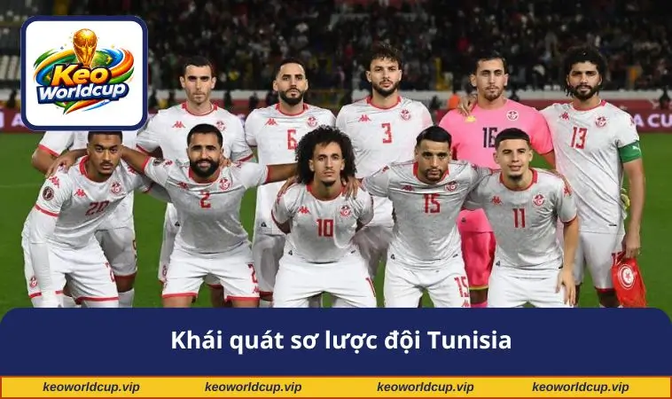 Khái quát sơ lược đội Tunisia