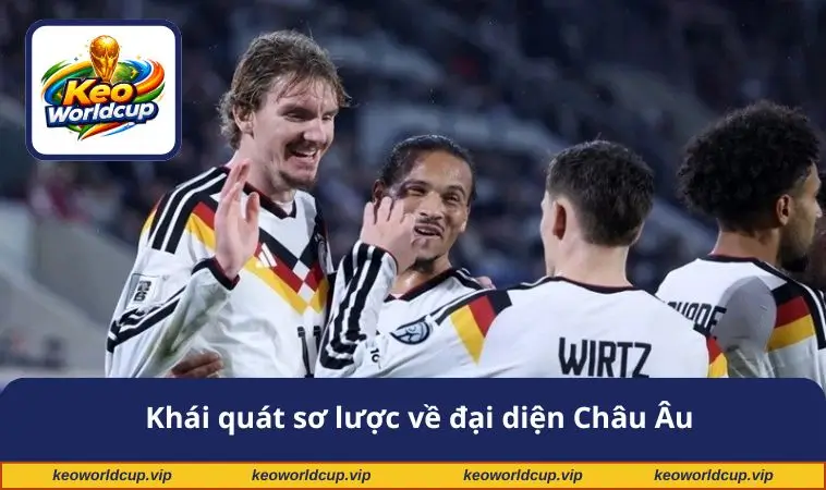 Khái quát sơ lược về đại diện Châu Âu