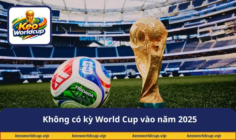 Không có kỳ World Cup vào năm 2025