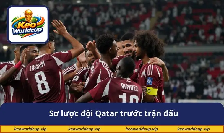 Sơ lược đội Qatar trước trận đấu