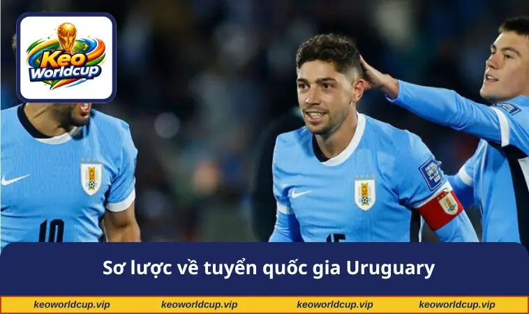 Sơ lược về tuyển quốc gia Uruguary