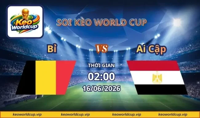 Soi kèo World Cup Bỉ vs Ai Cập