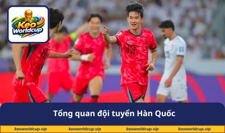 Tổng quan đội tuyển Hàn Quốc