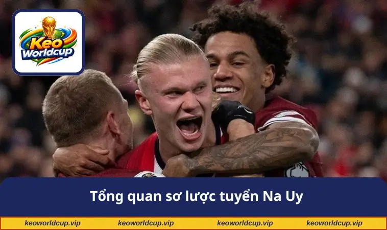 Tổng quan sơ lược tuyển Na Uy