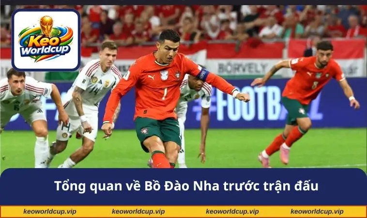 Tổng quan về Bồ Đào Nha trước trận đấu