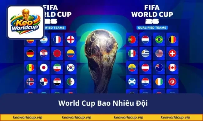 World Cup bao nhiêu đội
