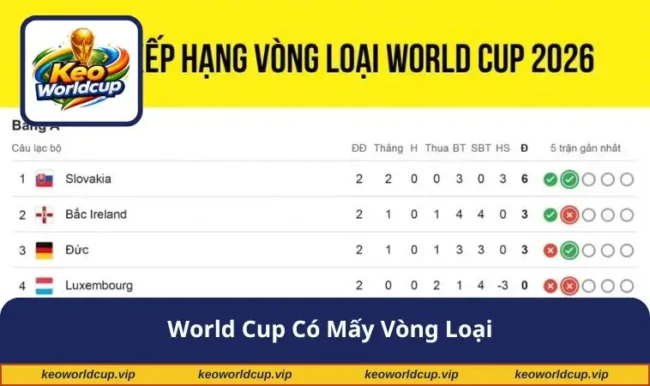 world cup có mấy vòng loại