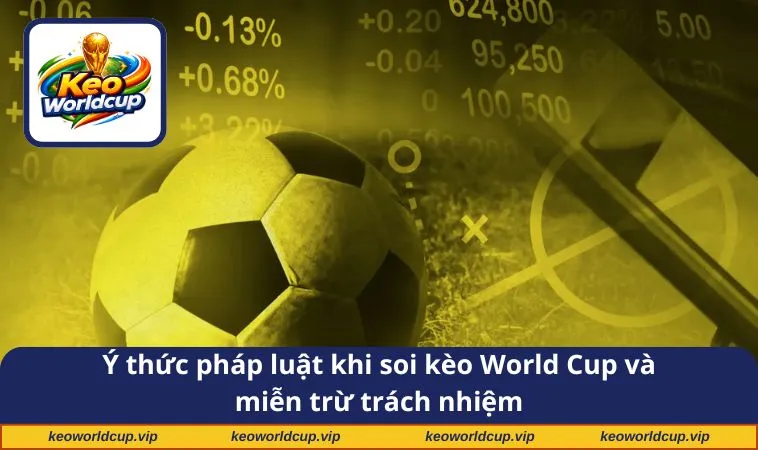 Ý thức pháp luật khi soi kèo World Cup và miễn trừ trách nhiệm
